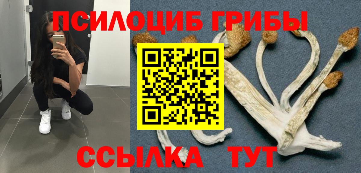 Бошки Шишки Долгопрудный